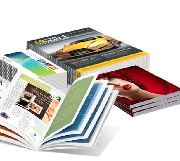 WhatsApp Image 2025-05-17 at 12.46.25_c26dc89a